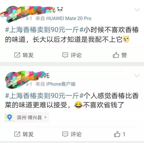  10块钱一两中国哪儿的香椿最好吃