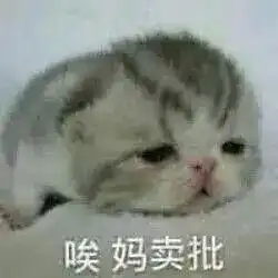  大耻度照片和花名册,带你走进霓虹那个羞羞行业