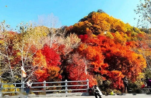  国庆4日本溪红枫中国枫叶之都关门山老边沟大石湖枫叶大道洋湖沟水洞