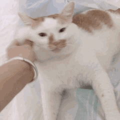 我爱你的表情包动图搞笑