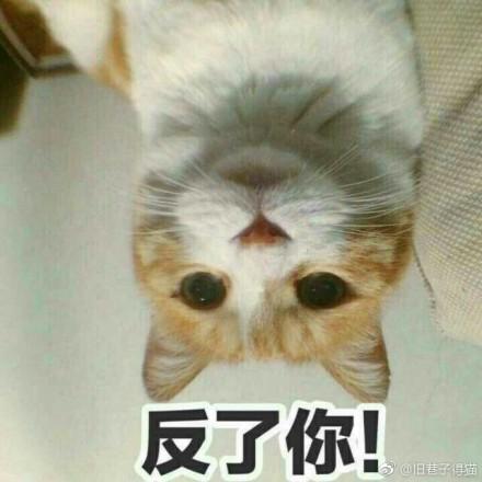  男子骑车撞倒老人逃逸,逃跑途中猛踩刹车摔断腿