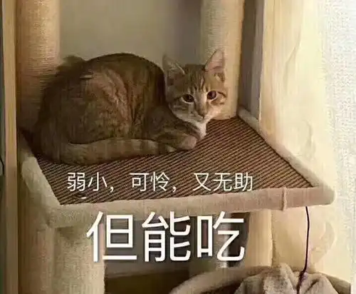  鹅们觉得学催乳师好吗