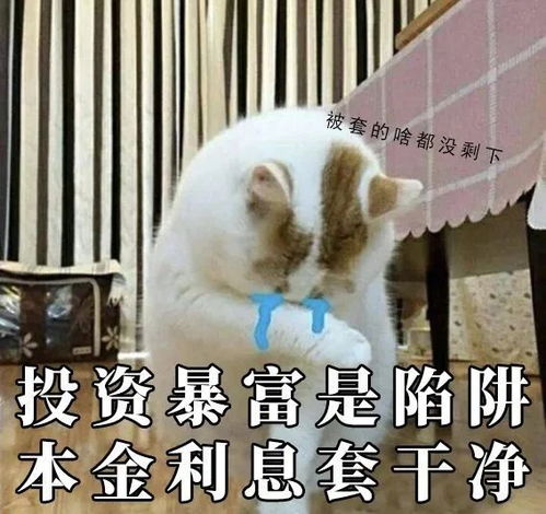 防不胜防啊表情包这组