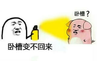  微信变猪喷雾表情包回应下载微信变猪喷雾表情包回应官方下载