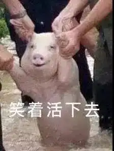  一条有味道的推送世界厕所日,带你解锁蹲厕所最佳姿势