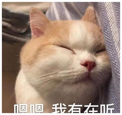  近百张沙雕表情包秀儿你坐下