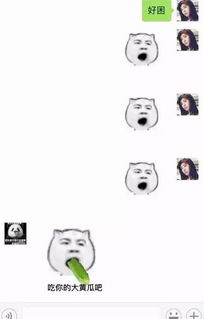  实不相瞒,最大的乐趣就是
