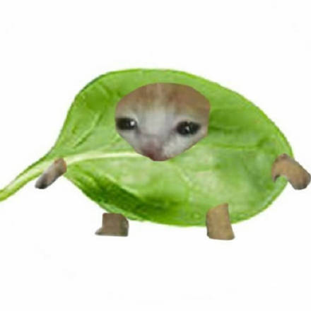  沙雕水果猫猫头表情包