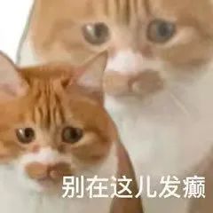 抖腿的表情包这人