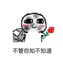 要饭表情包系列这届