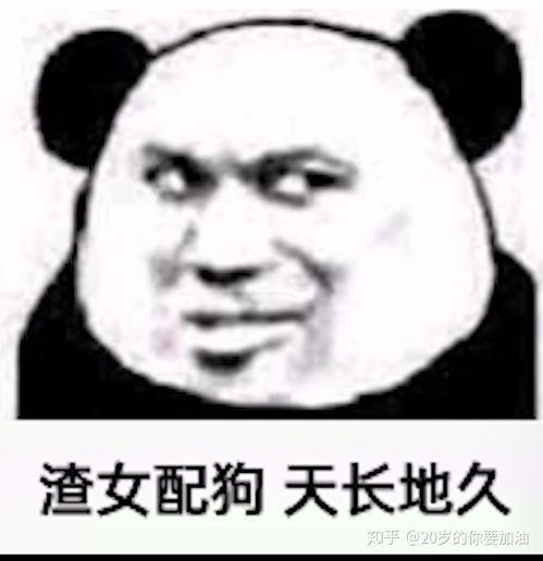  b站coderwhy老师半佛老师b站视频表情包整理