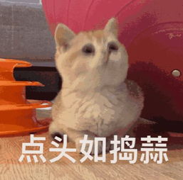  北京地铁一乘客心脏病突发去世丨身边有人突然晕倒,怎么办