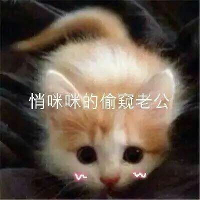  扯衣服撒娇表情包