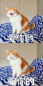  囧吐槽预祝大家父亲节快乐新浪游戏手机新浪网