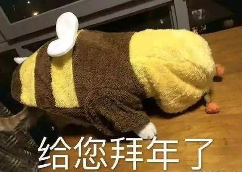  斗门今晚开始将断崖式大降温大北风湿冷来袭连冻6天