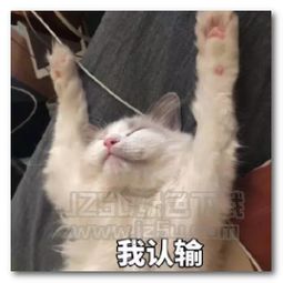  今天元气不满满表情图片今天元气不满满表情包高清版jz5u绿色下载站