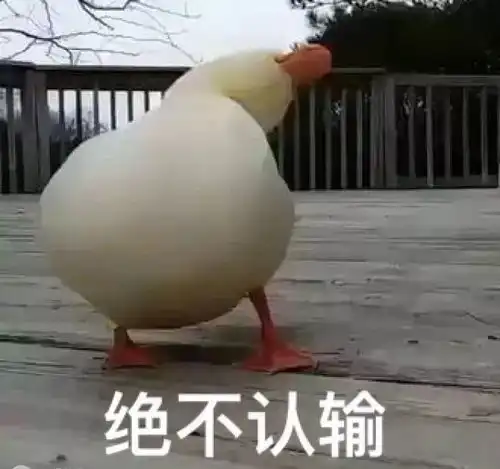  厦门是个好地方鹭岛春节人气爆棚还有一大波游客在路上...