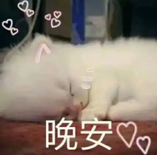  可爱猫猫表情包大哥喝啤酒