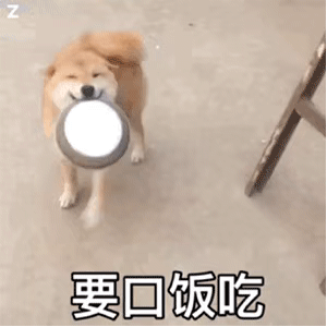  5.16表情包丨次块小饼干