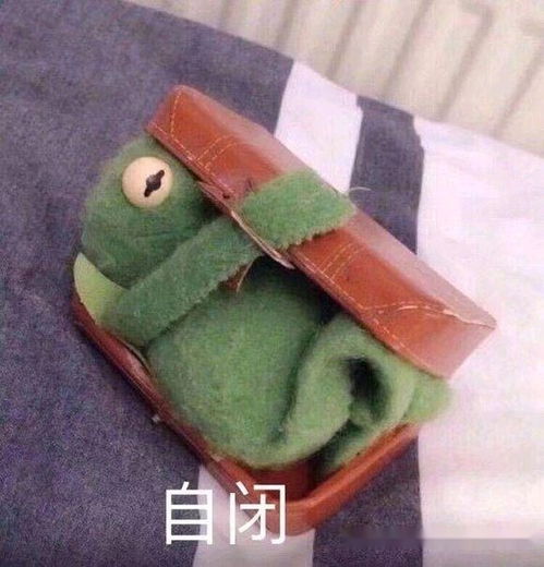  第五人格和别人组队时紧张怎么办深深地记住这句话吧