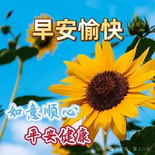  中老年早上好表情包大全,祝你快乐每天,幸福永远
