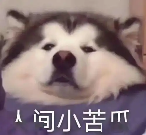  那些英国留学的emo时刻