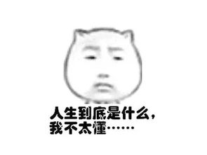  这份有关两江新区的独家秘笈,送给即将毕业的你