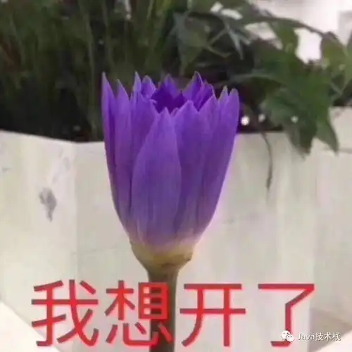  用float存储金额,老板说损失从工资里扣