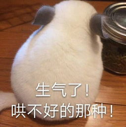  这是我职业生涯所达到的又一个伟大成就,为了