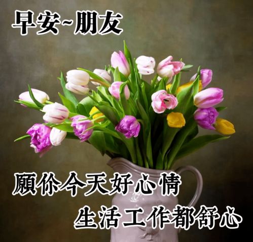  新的六月最美的早上好问候图片大全阳光唯美的早安祝福表情包