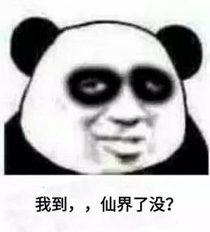  修仙表情包不睡觉修仙表情包黑眼圈熊猫修仙表情包