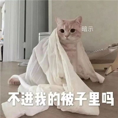  天冷了发给你对象的拼床表情包可以一起睡觉吗我怕冷