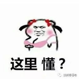  套路表情包你长得那么好看说什么都对