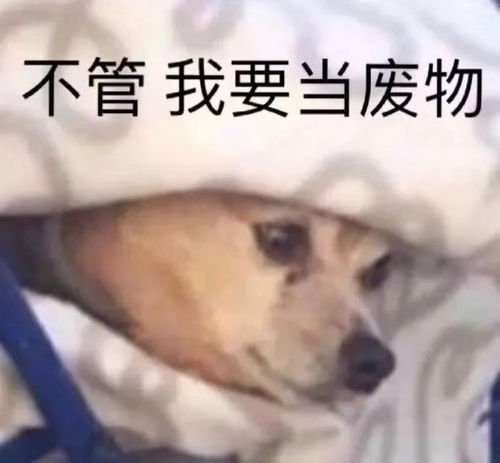 表示期待的表情包抖音