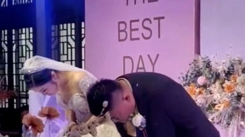  村长家的傻儿子结婚了,在婚礼典礼上看到他这个表情,客人的心都凉了
