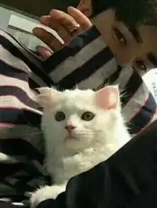  球球.王者.球节奏的美拍
