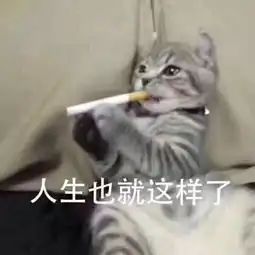  近期热门表情包合集