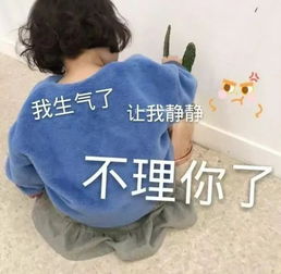 最佳男朋友表情包不理