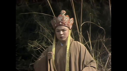  西游记孙悟空见包袱里的帽子,好奇带了起来,结果头上长出金箍