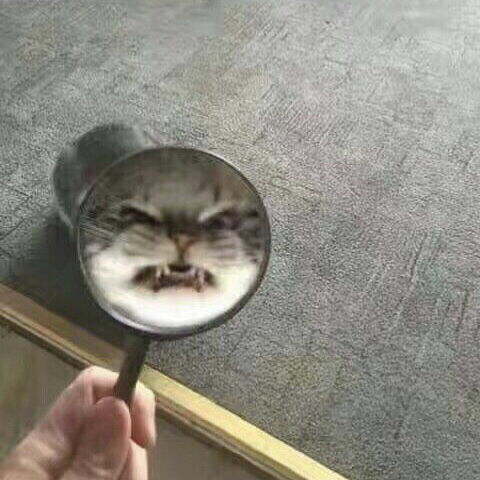  今天组里真的疯魔了