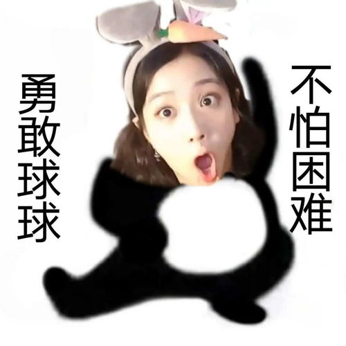  勇敢球球,不怕困难金智秀jisoo表情包