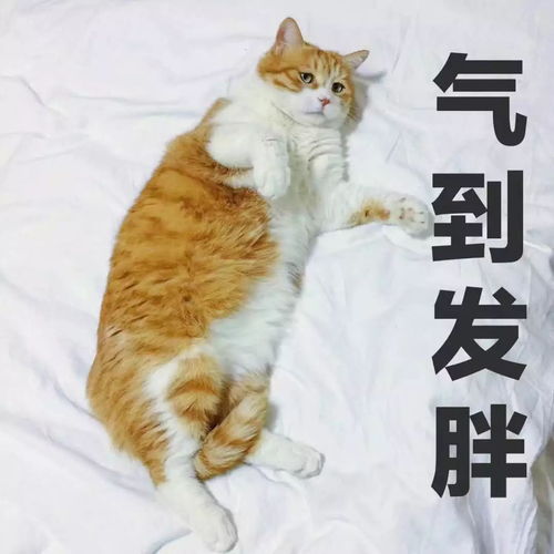  你们是我带过最差的一届父母