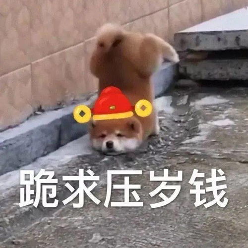  新年表情包,22