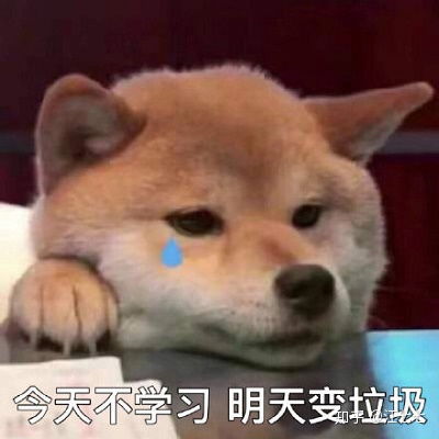 讨饭微信表情包搞笑单身