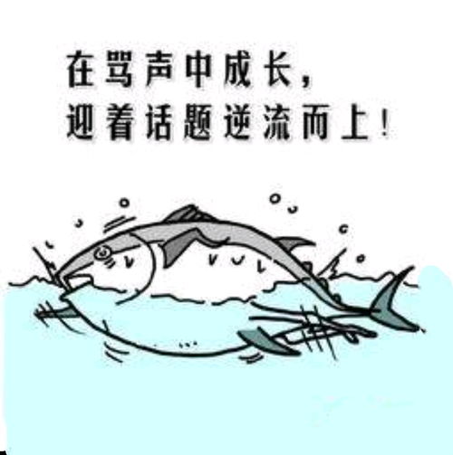  思小龙的书单咸鱼翻身的正确姿势