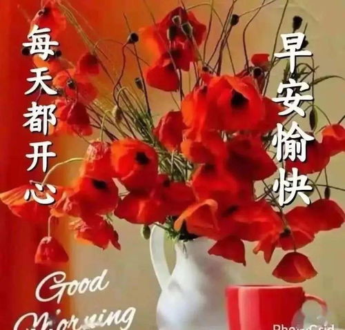  1月16日周六漂亮的早上好表情图片,超好看的早安图片带字带祝福语