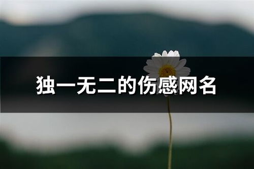  独一无二的伤感网名438个