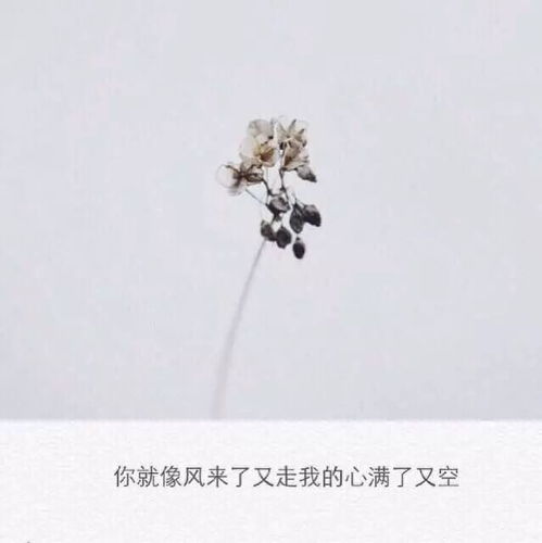  心累了没人懂的说说,送给深夜孤独的你