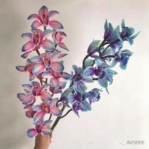  如何给鲜花染色,制作出独一无二的色彩阿米亚花艺