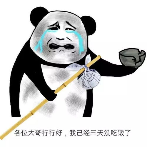  以正确的姿态迎接币市下跌